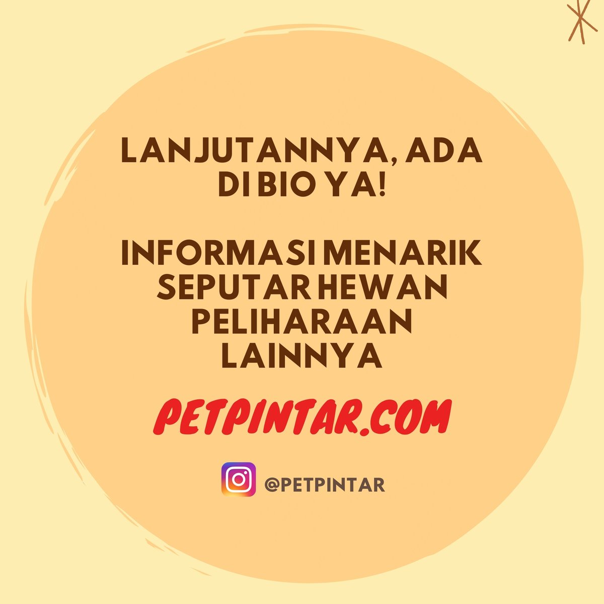 PetPintar's tweet photo. Kamu memelihara bunglon, tapi bingung cara memenuhi kebutuhan nutrisinya? 

Nah, berikut rekomendasi makanan bunglon terbaik, mulai dari hewani hingga nabati.
https://t.co/U3sfeQ8HuE
.
.
.
.
.
#reptile #reptiles #reptileindonesia #bunglon #makananbunglon #chameleon #chameleonfood https://t.co/wOv35tFRXz