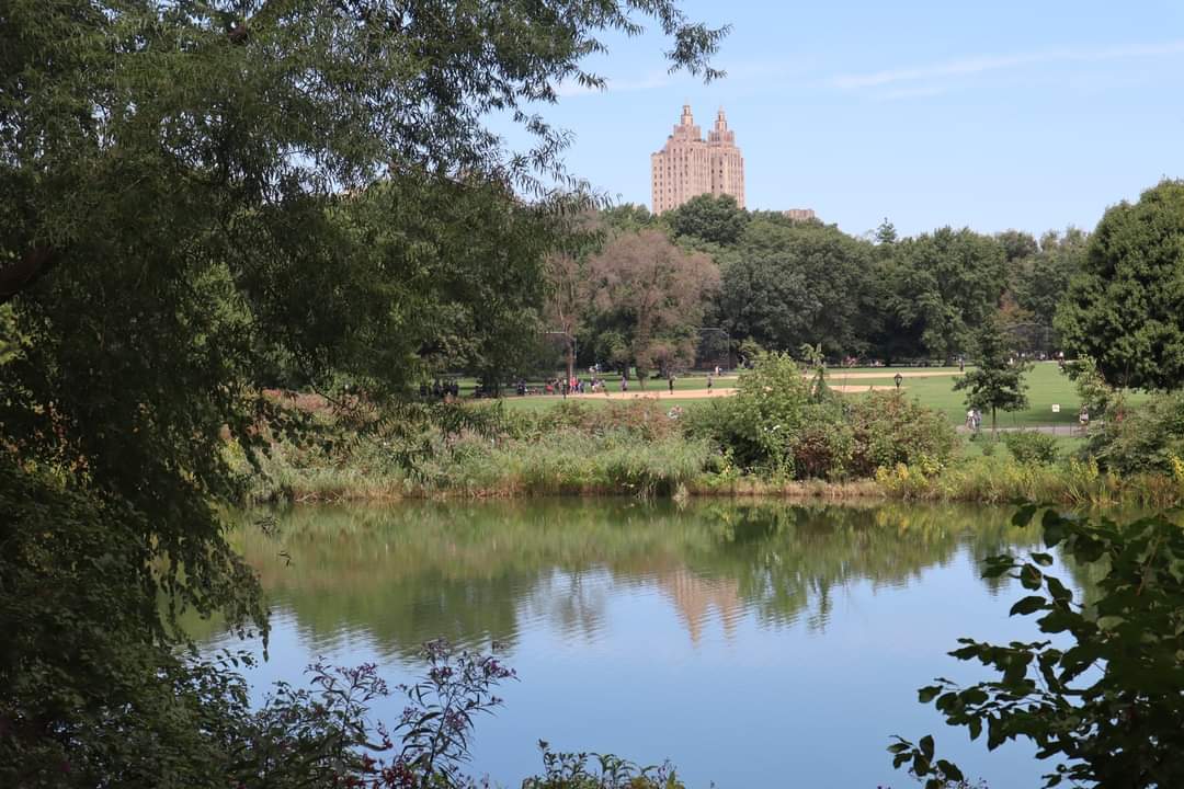 We spent almost an entire day in Central Park over the weekend and didn't even see all of it. It was strangely a huge anchor of our holiday. Staying where we were it meant we could very easily jump in and out of it.