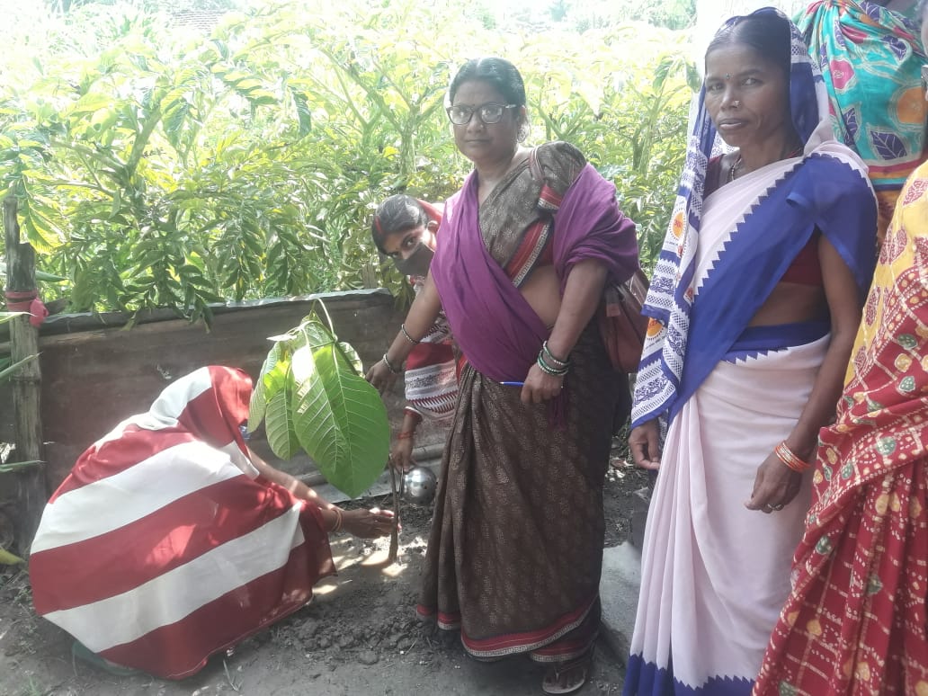 PrerakBharat's tweet photo. Anganwadi workers in plantation drive have started  #Nutrigardens around the anganwadi centers to promote better nutrition outcomes!
#Poshanmaah2020 #PoshanAbhiyaan #nutrition 
#JanAndolan 
#ThankyouAnganwadiDidi
#PoshanTyoharSeVyavahar
@POSHAN_Official
@SPreraks
@MinistryWCD https://t.co/bQpJ1A5CTO