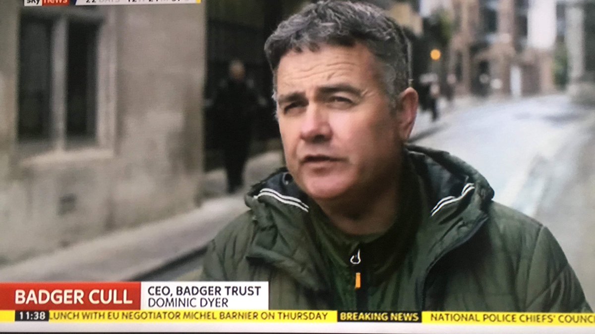 dominic dyer tweet media