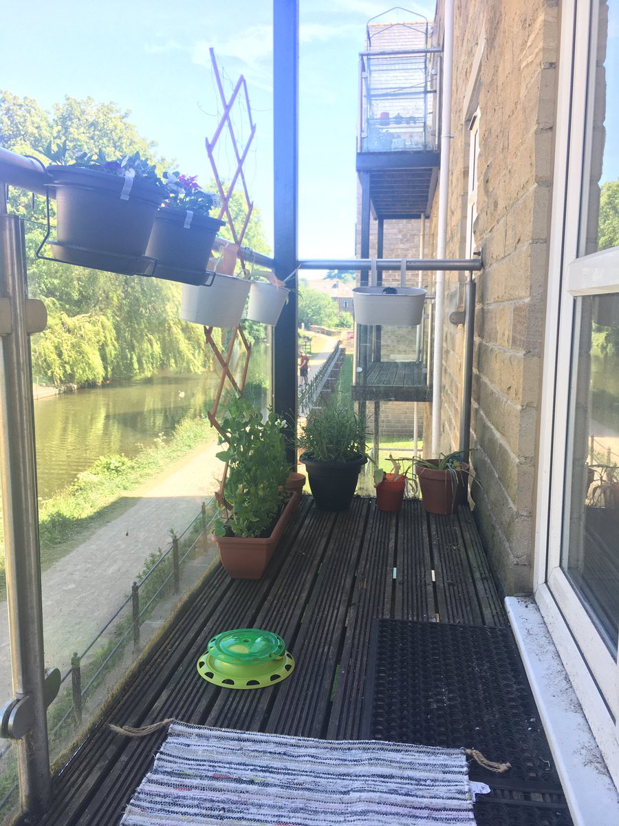 Hanwaj's tweet photo. So hard to pick one photo, love my balcony reading spot #howtobefine https://t.co/OyKLepE47l