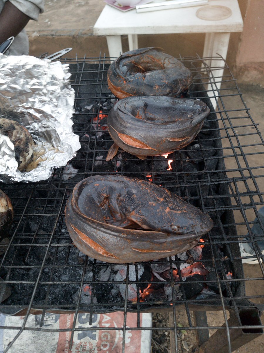 barefootmodel's tweet photo. This is what we do!!!
We grill catfish at Bisola Lodge, in Lugbe Abuja.
We own an organic catfish pond. No fertiliser.
#couplesgoals #couplesinbiz
We are wall design artistes and painting professionals.
We are business minded
Your go to plugs for almost anything and everything. https://t.co/5PhLtTJkcS