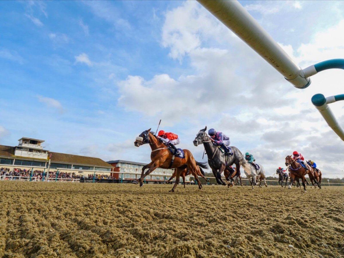 Roguesracing_'s tweet photo. Crimewave rides today @kemptonparkrace in the 4.55 under @Mitchelljack77 🐎 #Crimewave #roguesgallery #racinguk #ukracing #attheraces #racehorse #horseracing #kemptonpark #racetrack #redandwhite #rogue #racingclub https://t.co/rv1WrPHT8g