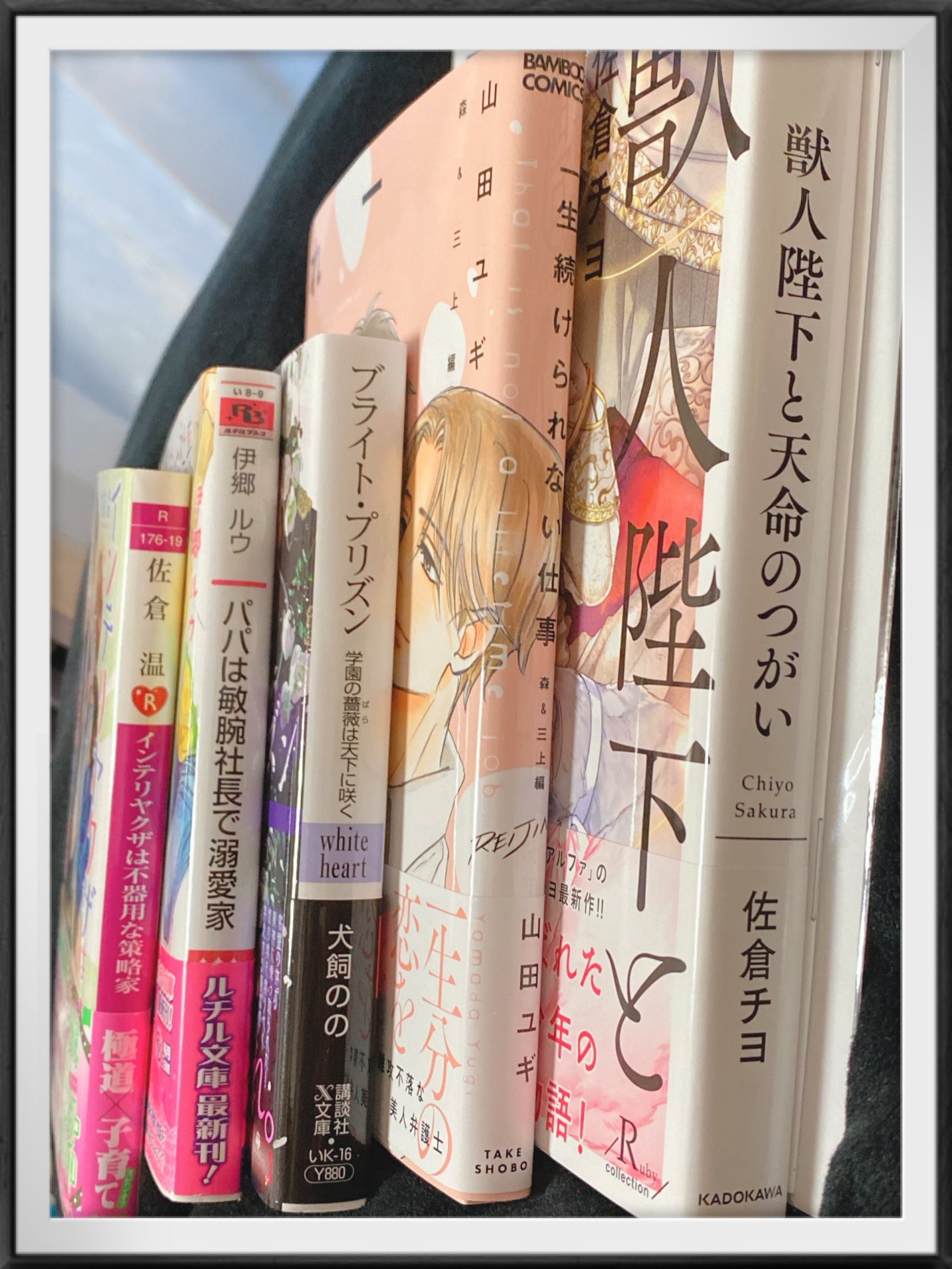 マツリ 薔薇 ローリングスケベ 今日も来ましたコミコミ便 おすそわけ 耀明さんと火弦だよね 嬉しい 小説読んで気分アゲアゲ インテリヤクザは不器用な策略家 ブライトプリズン 学園の薔薇は天下に咲く 獣人陛下と天命のつがい パパ
