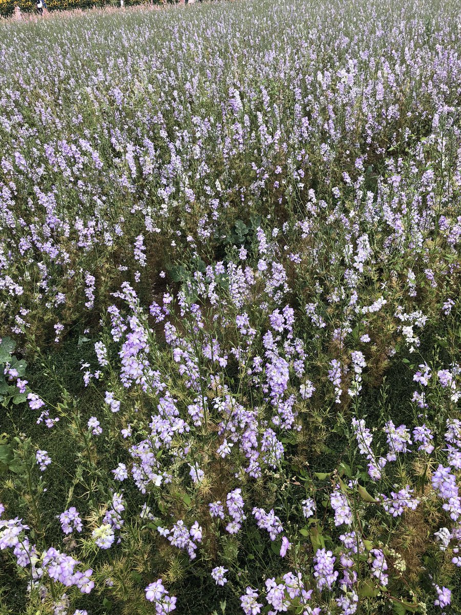 I wish one ☝️ day Kindness take over the world 👍😉