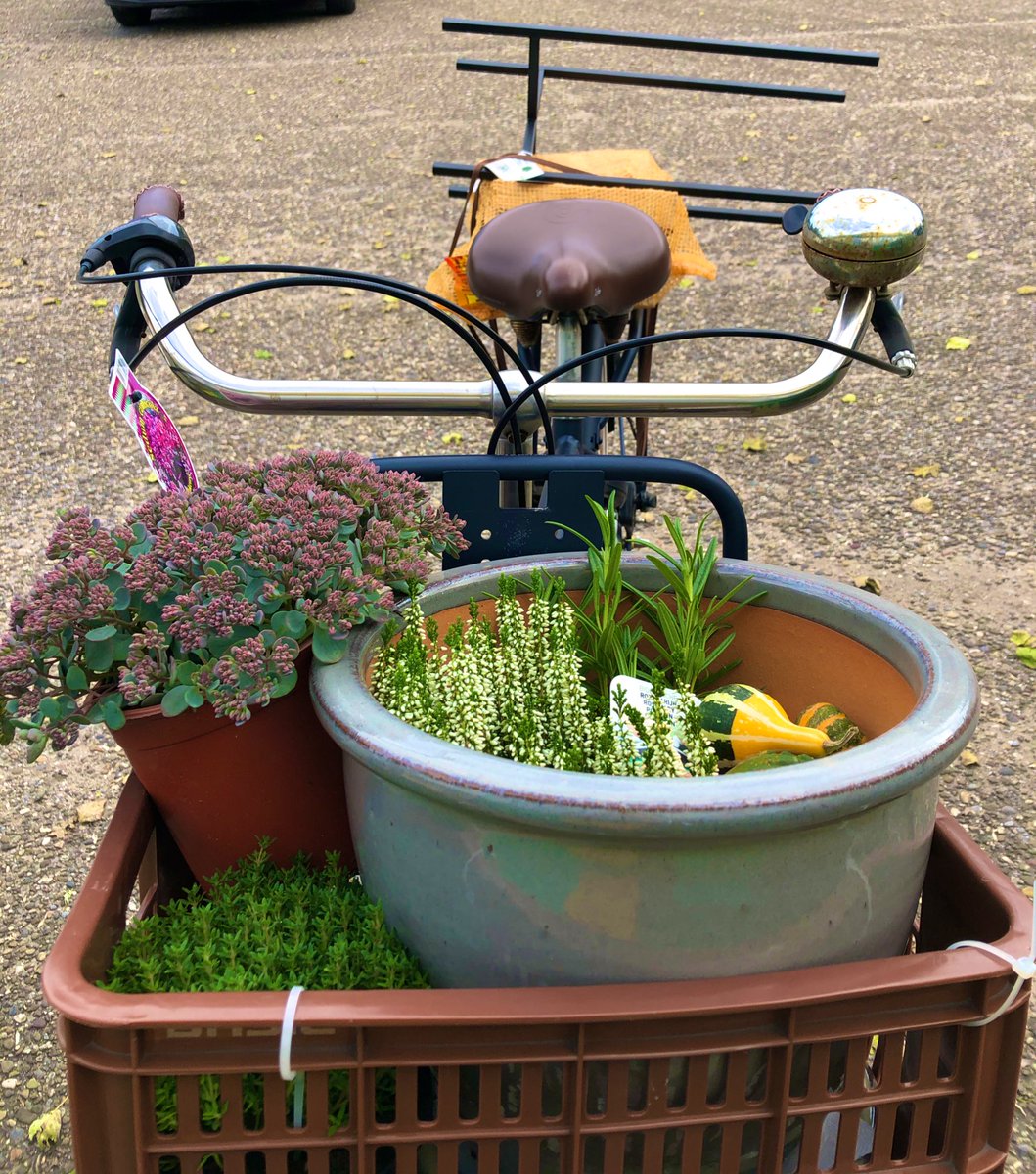 SarahJGillis's tweet photo. There’s a chill in the air and our bike baskets are full of hardy plants. Is that you, fall? #herfst #patiorefresh #fietsleven 🚲 🌱 🍁 https://t.co/qpDZNhJaAC