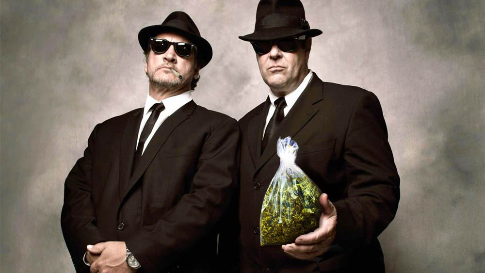 Weelinkd's tweet photo. Jim Belushi se ha metido en el sector del cannabis. Trabaja en su granja de Oregon (EEUU) desde donde ha sacado su propia marca de hierba y porritos preliados "The Blues Brothers". Te contamos más detalles en #WEElinkD 
👇👇👇👇👇👇👇👇👇👇👇👇👇👇👇👇👇👇
https://t.co/mC4q0WabAZ https://t.co/en6WElpvzD