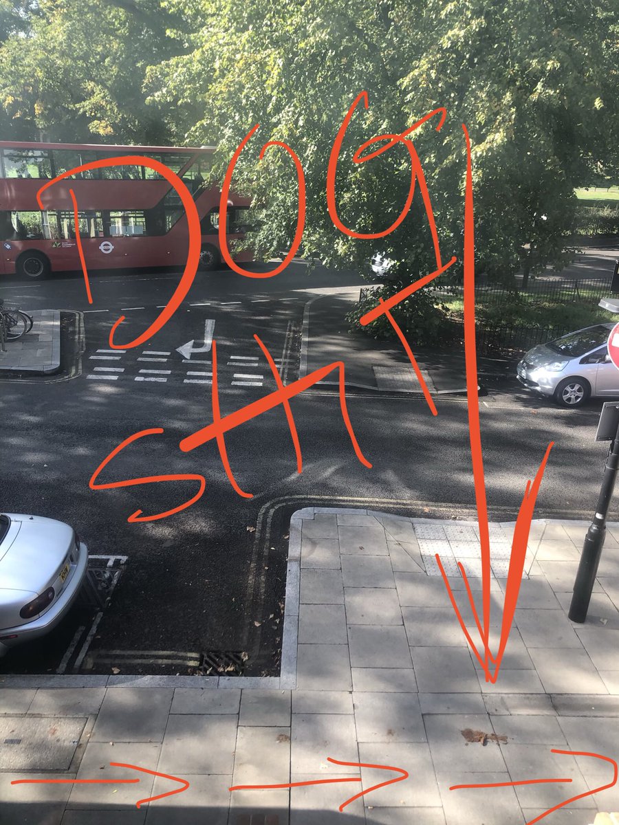 The worst of the worst kind of a person has let their dog shit in the middle of a very busy road not cleaned it up and somebody has slipped on it and it is spanning the length of the street #chiswick #actongreen #london disgusting if only I caught the person who did it.