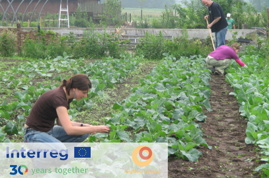 SEUPB's tweet photo. We love looking back & remembering our past #EUFunded, #INTERREGIVA projects while we celebrate #Interreg30.
Social Farming Across-borders aimed to increase public awareness of the opportunities that social farming offers. Learn more👉https://t.co/r5uGyBQzX6
#CooperationYear https://t.co/sMOPB0mHh3