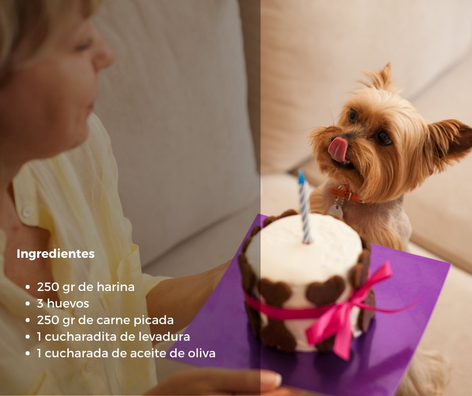 Dinbeat Home Devices tweet media