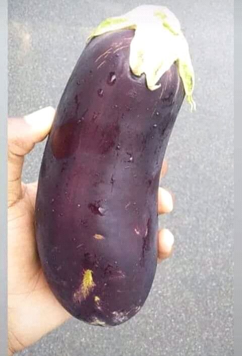 CobraThato's tweet photo. Where my bitches at?
I've got something for yol 🙇 https://t.co/okQXLXgghn