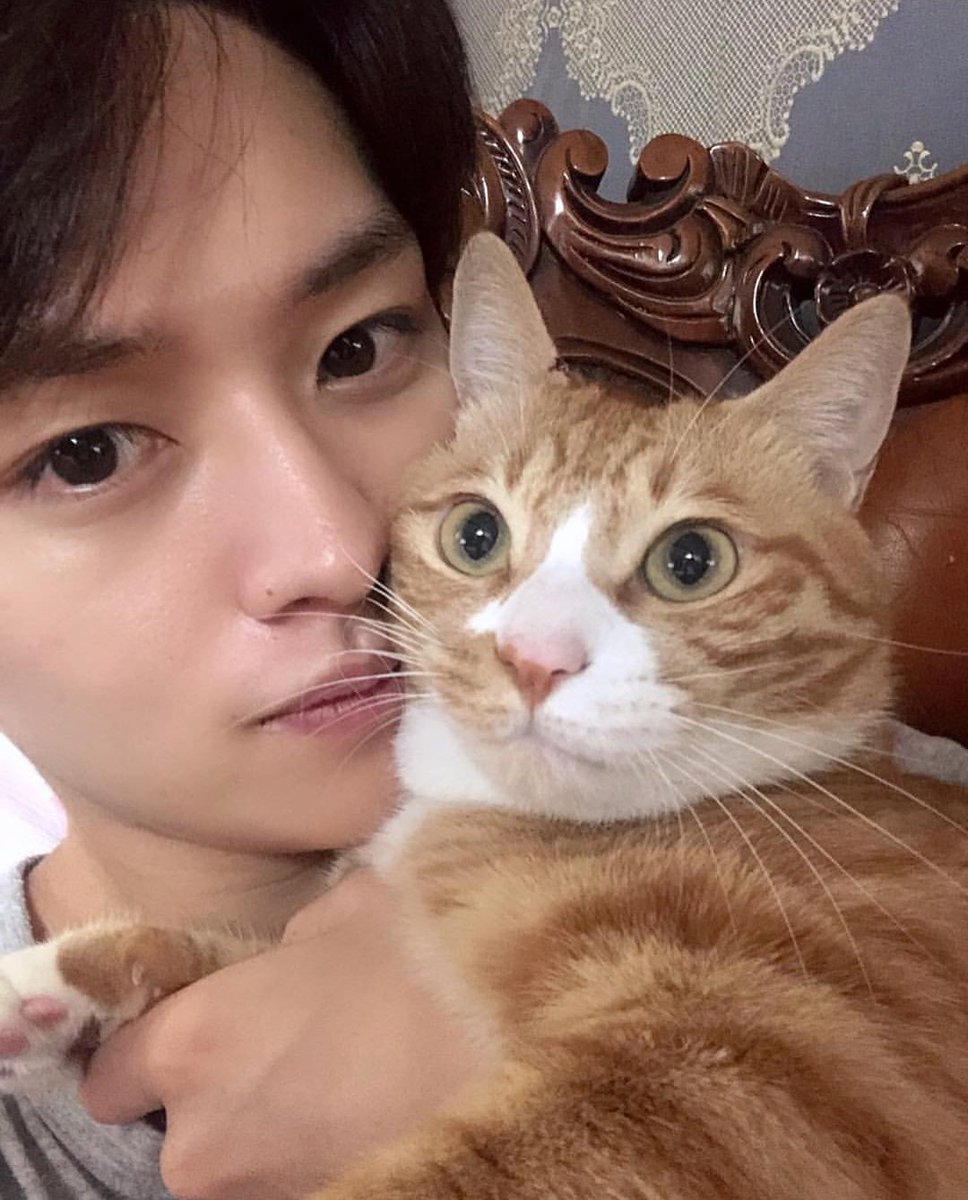 Leigh04shannon's tweet photo. Kitties ✨

(Rt please💕) 

#StrayKids #skz #StrayKidsart #straykidsfanart #minho #leeknow #leeminho #minhofanart #minhoedit #straykidsedit #leeknowedit #leeknowiscute #leeknowfanart @Stray_Kids @Stray_Kids_JP #soongidoongianddori #dori #soongi #doongi https://t.co/5PfkYdRG4H