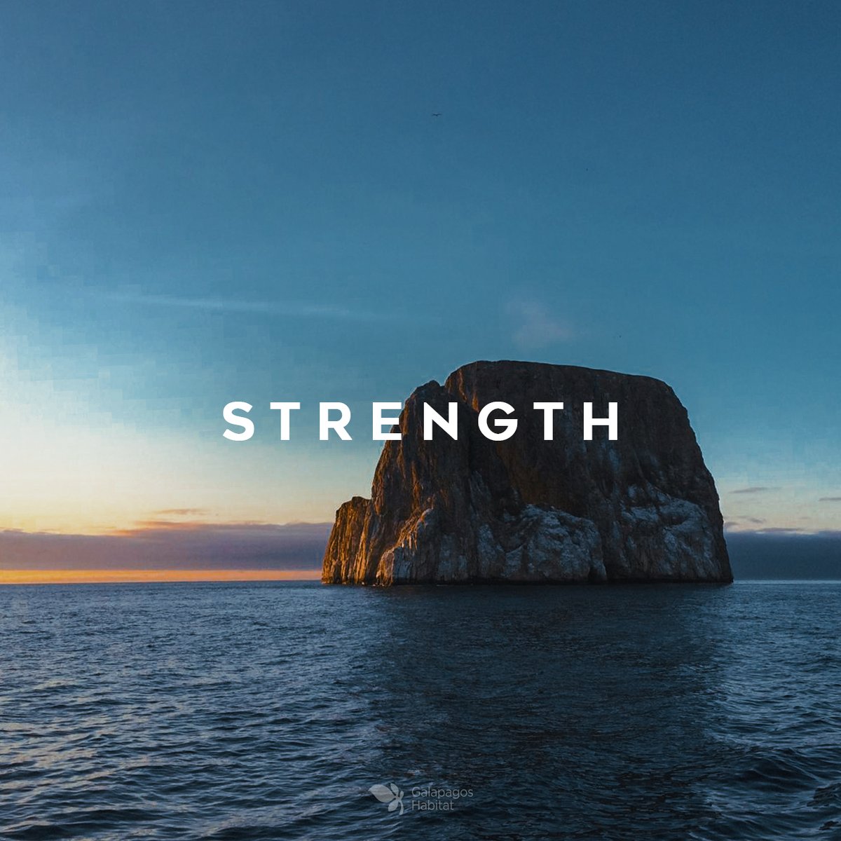 The rock is a solid element and the base on which the Galapagos Islands were born, therefore it represents a symbol of strength.
.
.
