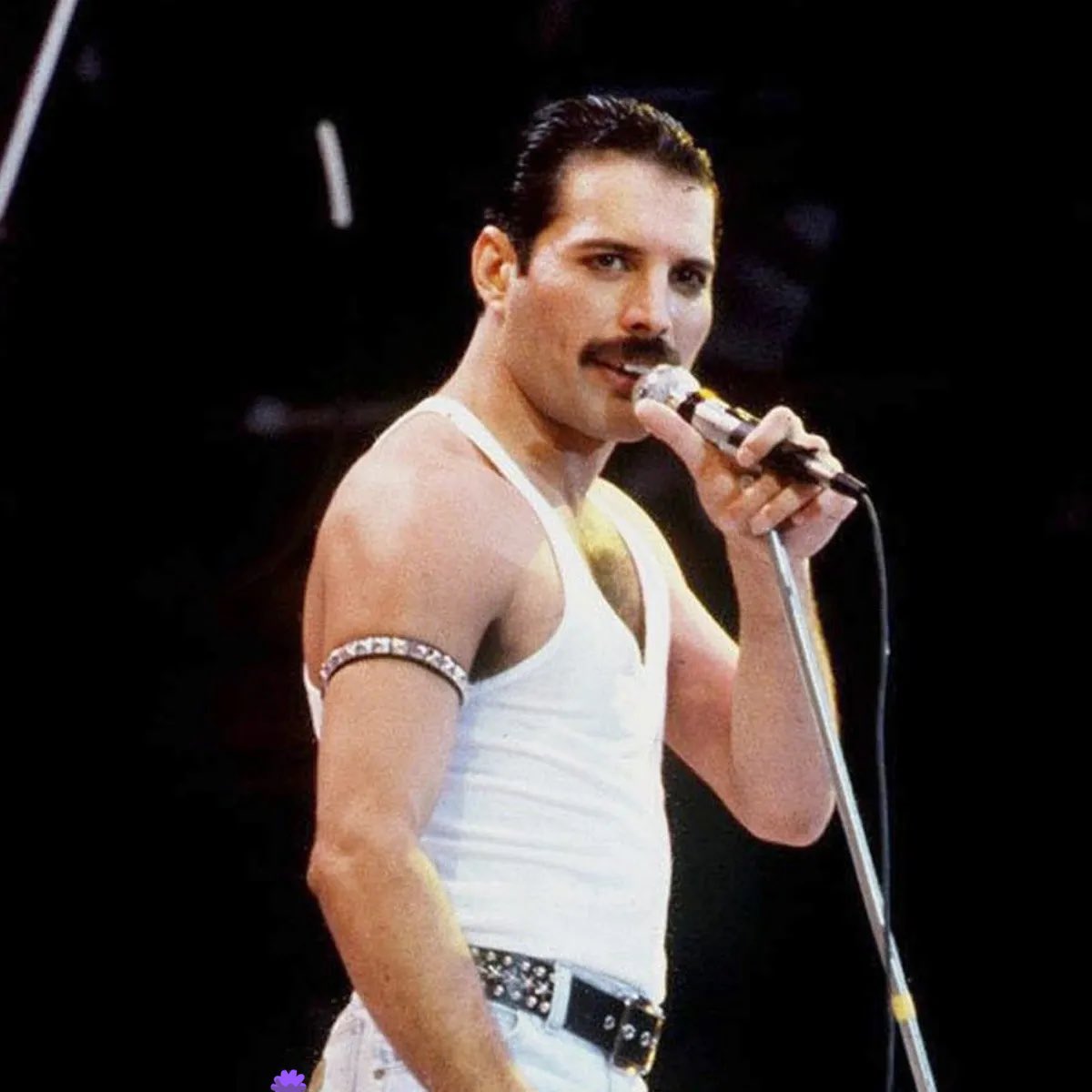  Happy Birthday Freddie Mercury 