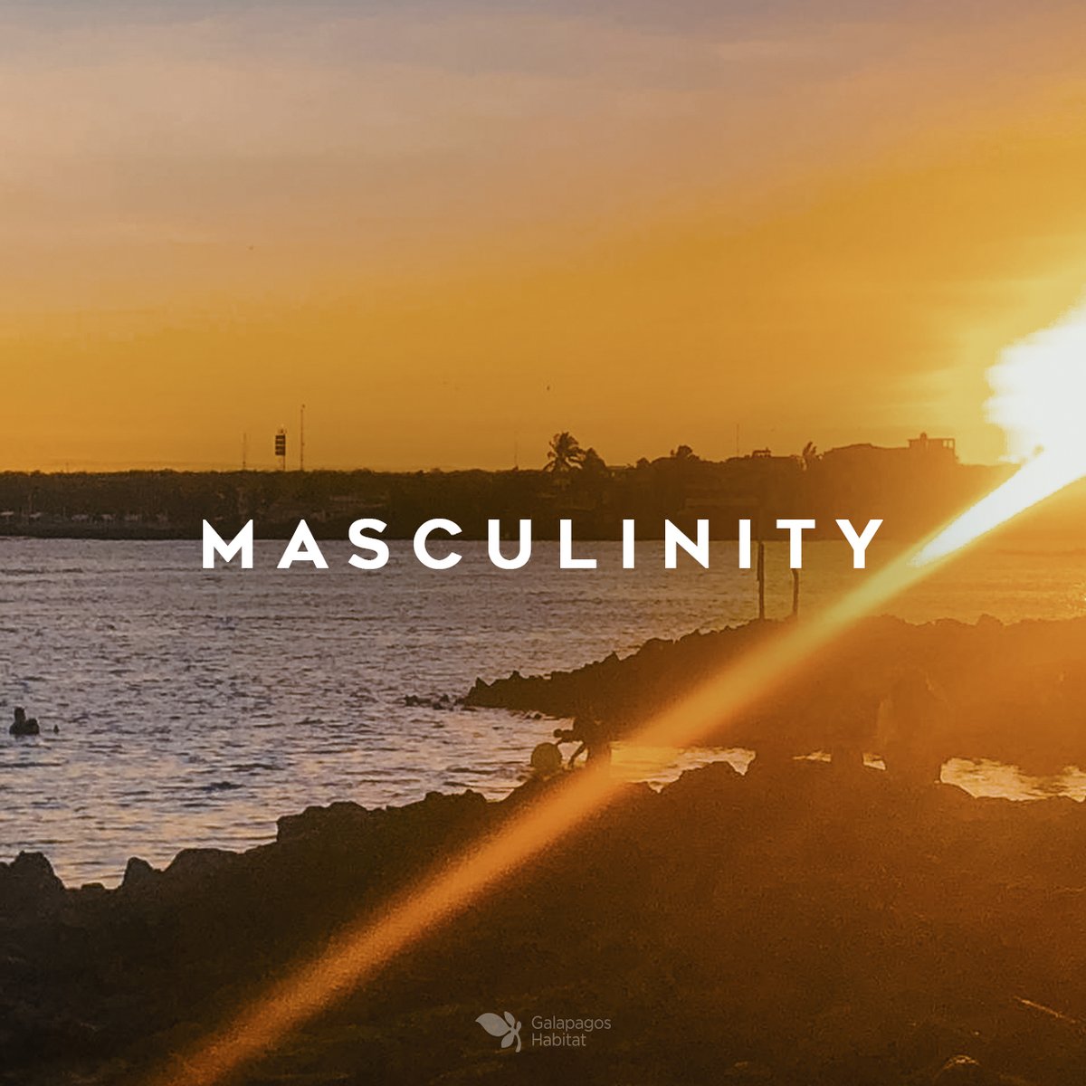 The sun is a very powerful symbol represented by many cultures in the world, it symbolizes the YANG male side, as well as life, light, power, rebirth, intellect, consciousness and immortality.
.
.