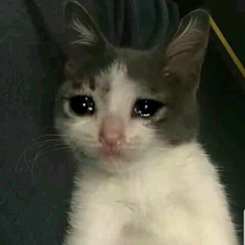 for archival purposes, sad/sad-ish meme thread