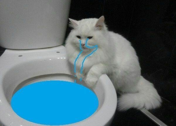 for archival purposes, sad/sad-ish meme thread