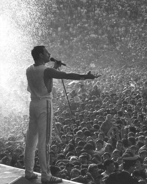 queen_deaky's tweet photo. Happybirthday!!! FreddieMercury!!!

#Queen #FreddieMercury https://t.co/ngu9zvJq6T