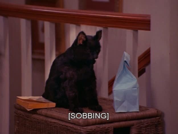 for archival purposes, sad/sad-ish meme thread