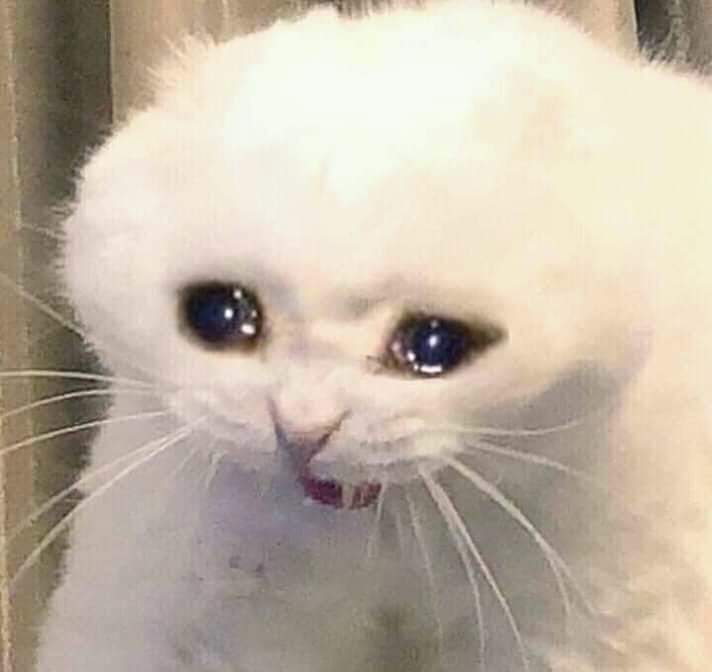 for archival purposes, sad/sad-ish meme thread