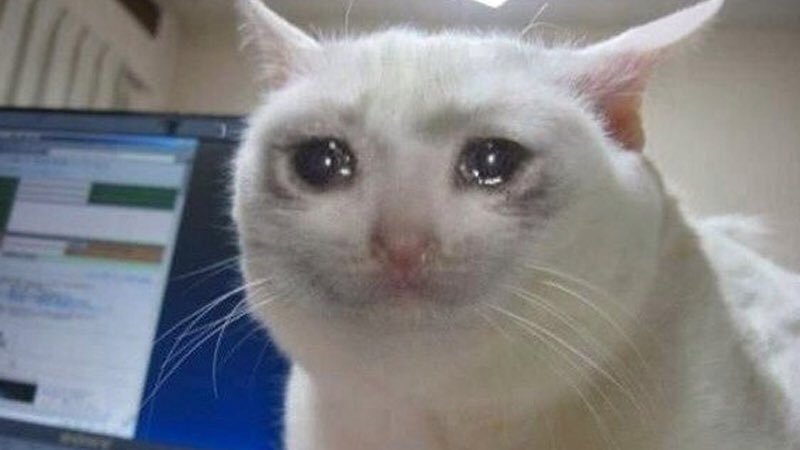 for archival purposes, sad/sad-ish meme thread
