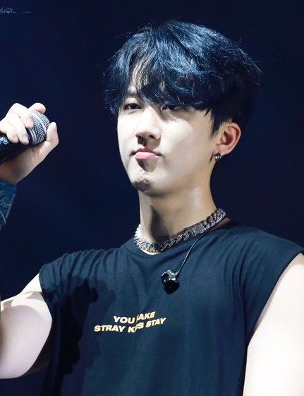 — changbin part of the big tittie committee; a needed thread  #StrayKids  #skz