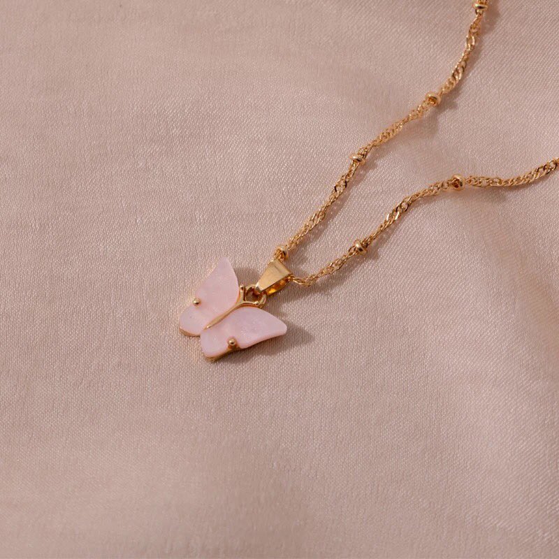 Butterflystore0 tweet picture