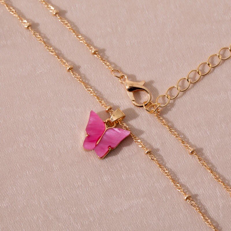 Butterflystore0 tweet picture