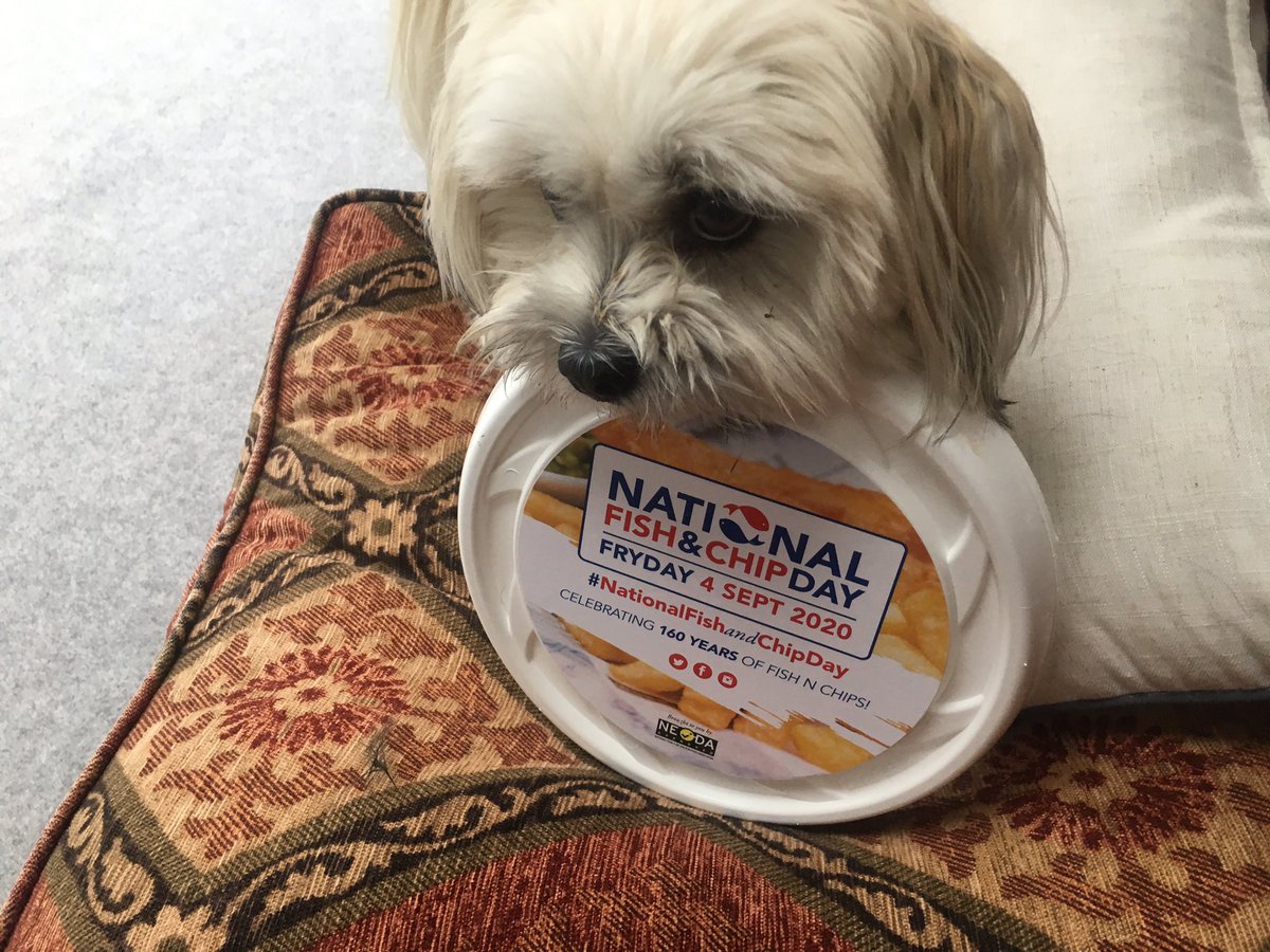 dean mathew baker tweet media