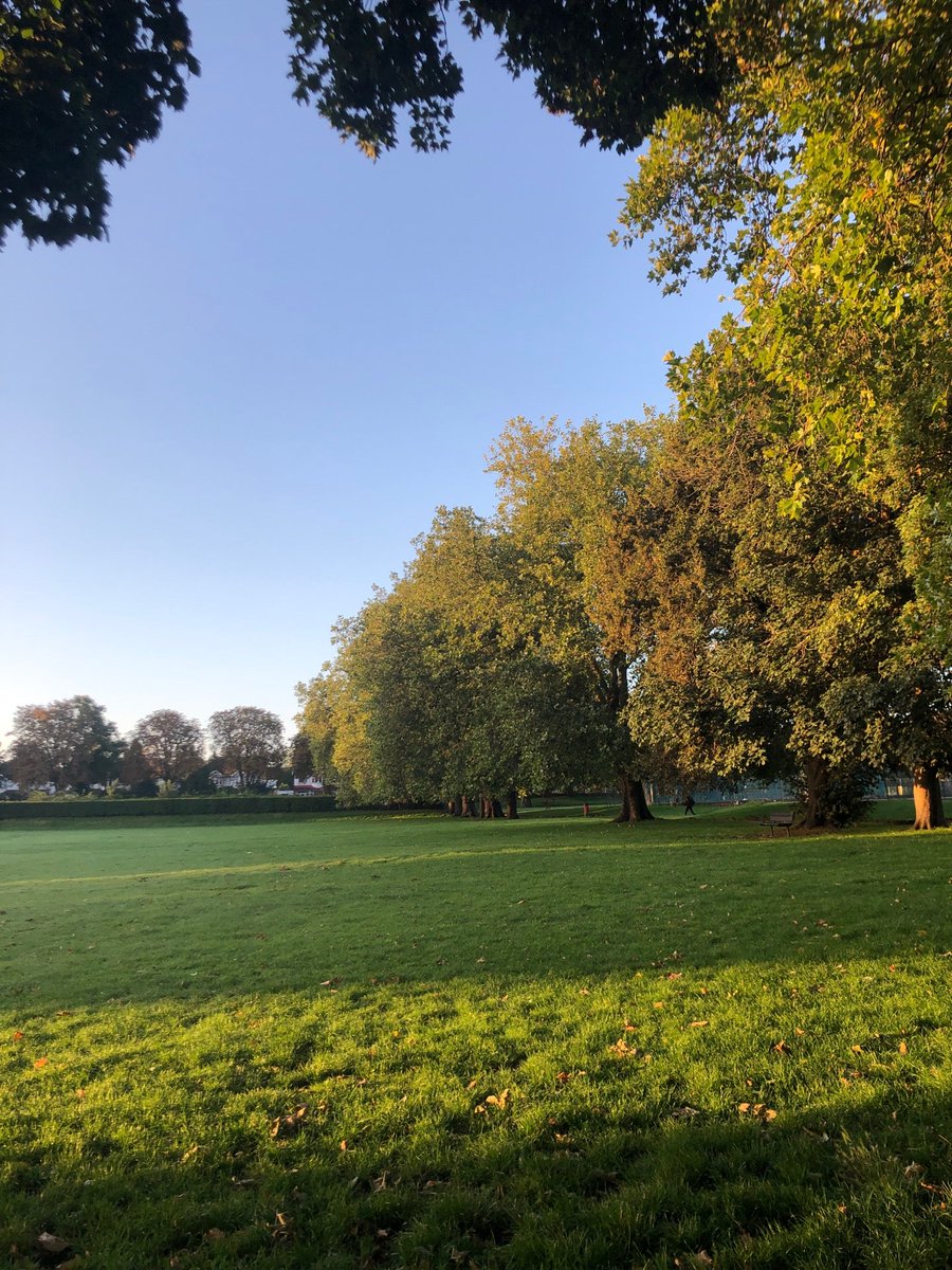 #Morning #Walkies with #PennytheBeautiful (@ Mellows Park in Wallington, GREATER LONDON) swarmapp.com/c/9wHkIoQkScR