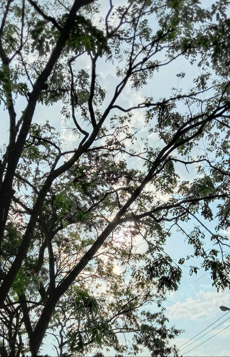 DeviNurK's tweet photo. 🌿 https://t.co/dpZh0VerAE