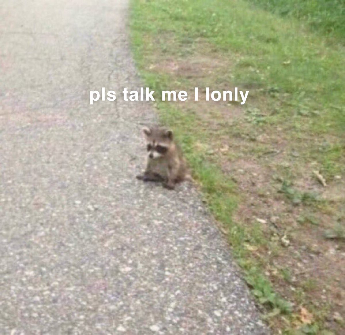 for archival purposes, sad/sad-ish meme thread