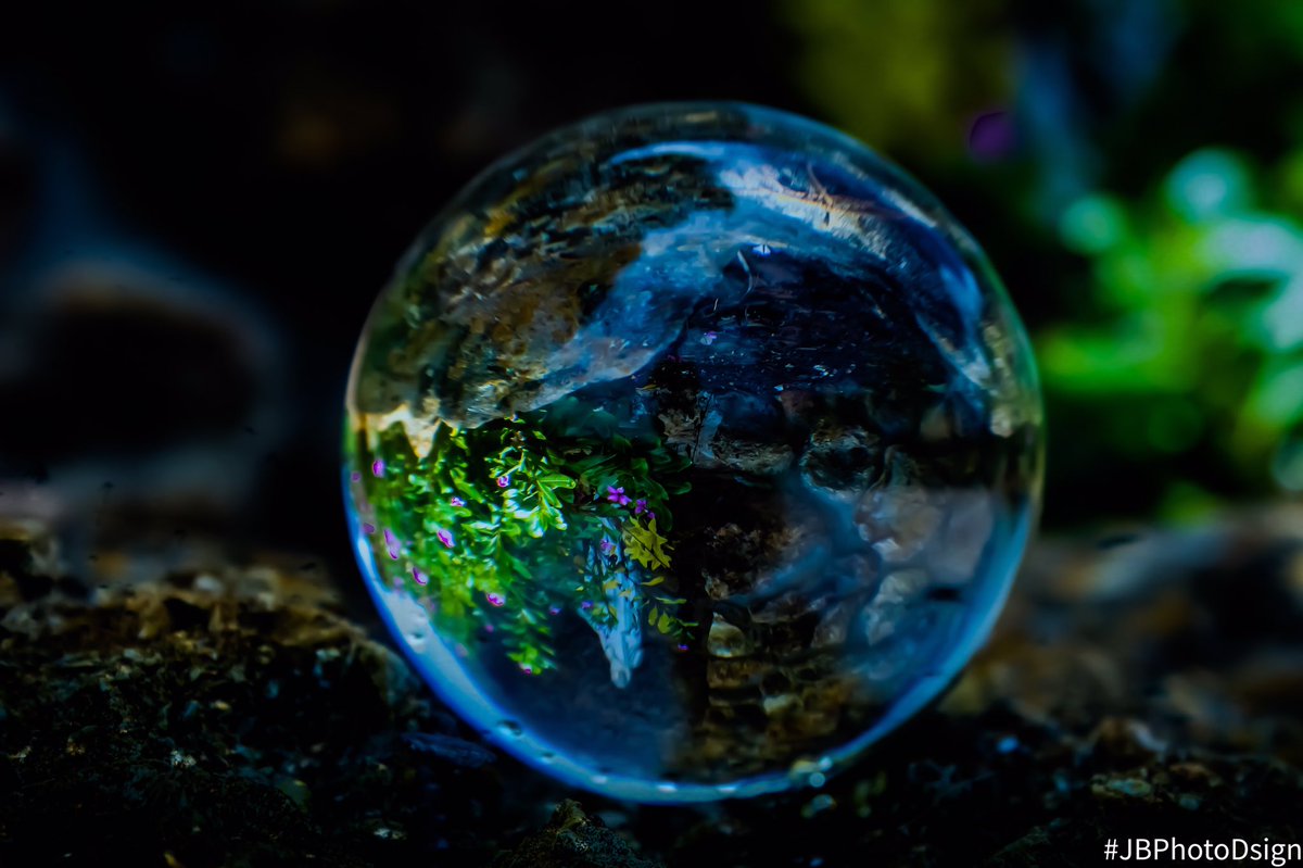 Jacobthechosen's tweet photo. Having fun with my Zoom Ball.
#photography #art #zoomball https://t.co/RqCkhlYopk
