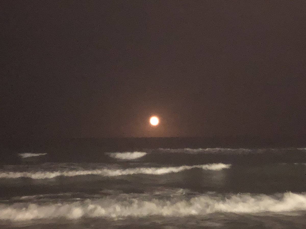 jmiguelsanchezm's tweet photo. La luna llena que nos muestra su belleza. Un mar que nos enseña la grandiosidad de la naturaleza.
Y el ser humano creyéndose el centro del universo y atreviéndose a destrozar muchas de las maravillas que nos han sido regaladas.
#psicología #coachingonline #resetearse #liderazgo https://t.co/paSINVT8a1