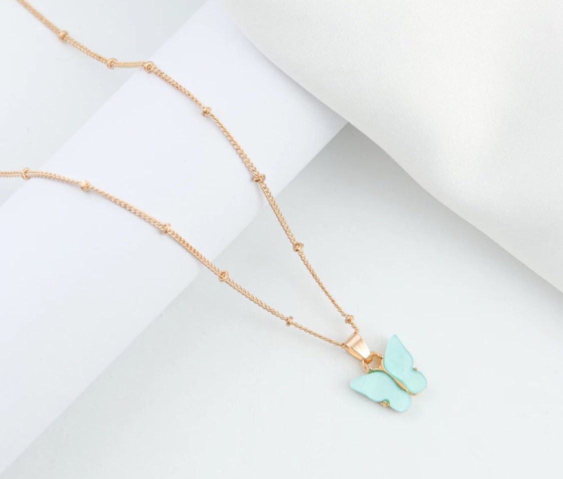 Butterflystore0 tweet picture