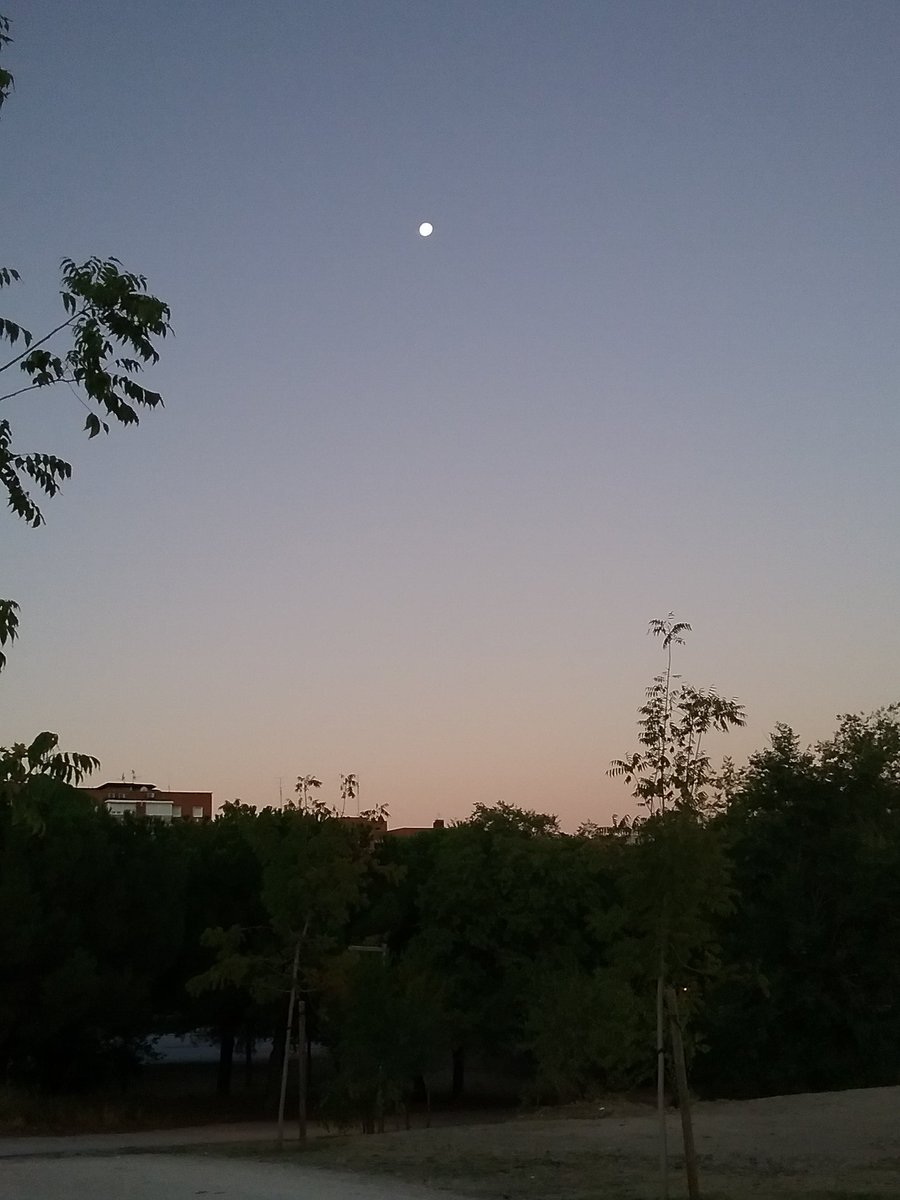 Teresa Fernandez (@teresaf35309694) on Twitter photo 