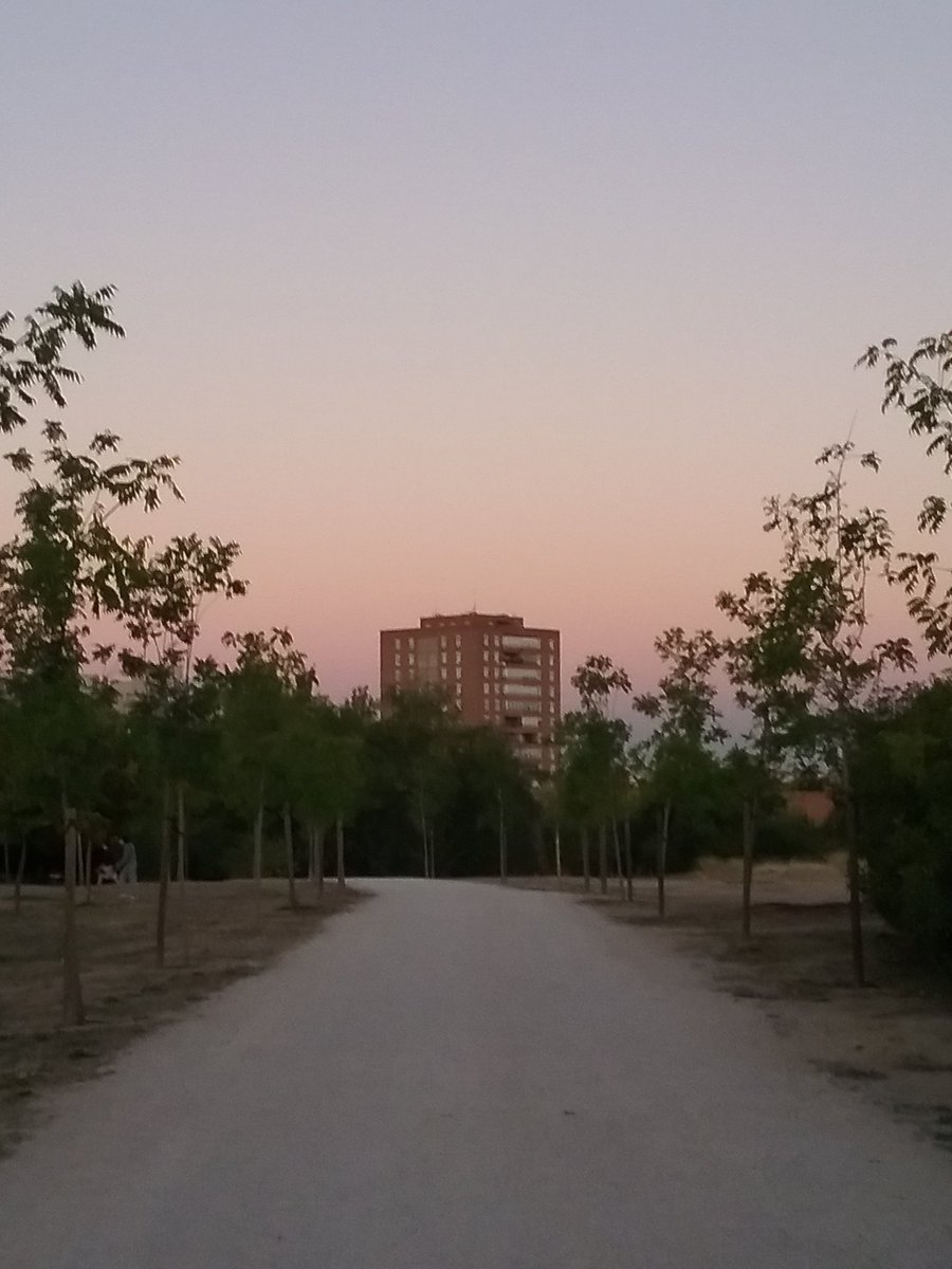 Teresa Fernandez (@teresaf35309694) on Twitter photo 