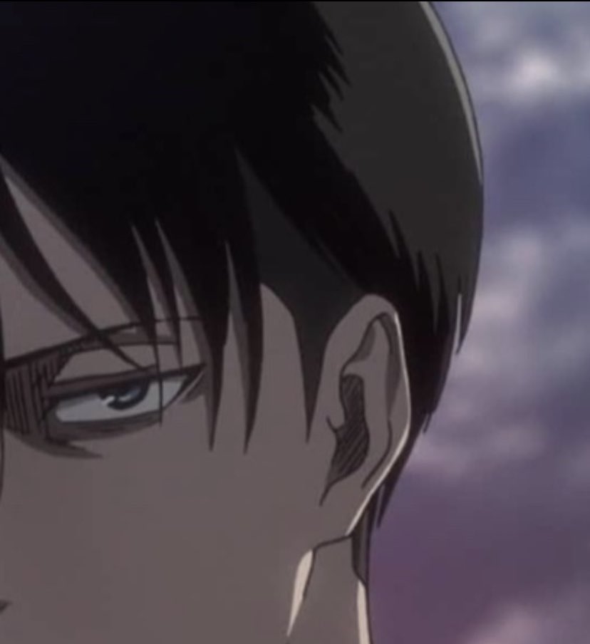 deathckid's tweet photo. if this works, levi will find happiness https://t.co/DTCzsf3ymL