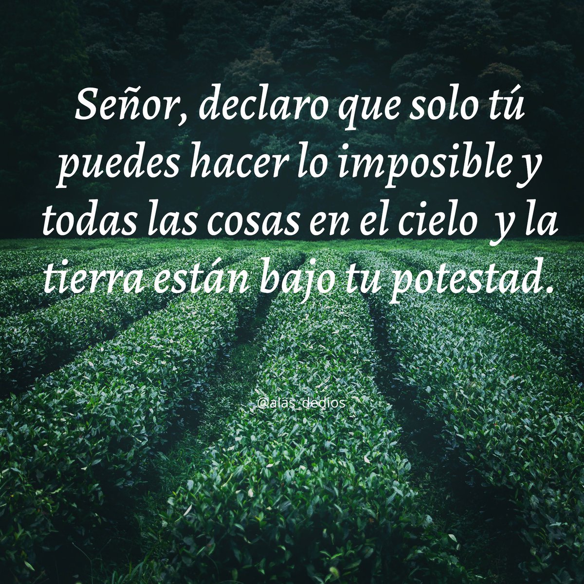 En Dios TODO es en el sí y el Amén 🙏