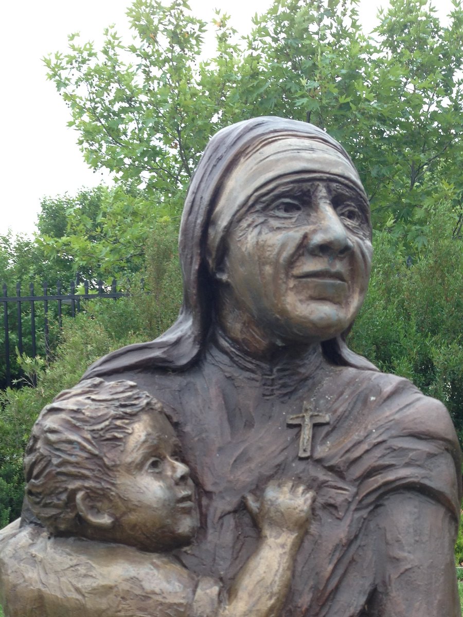 Mother Teresa Primary School tweet media