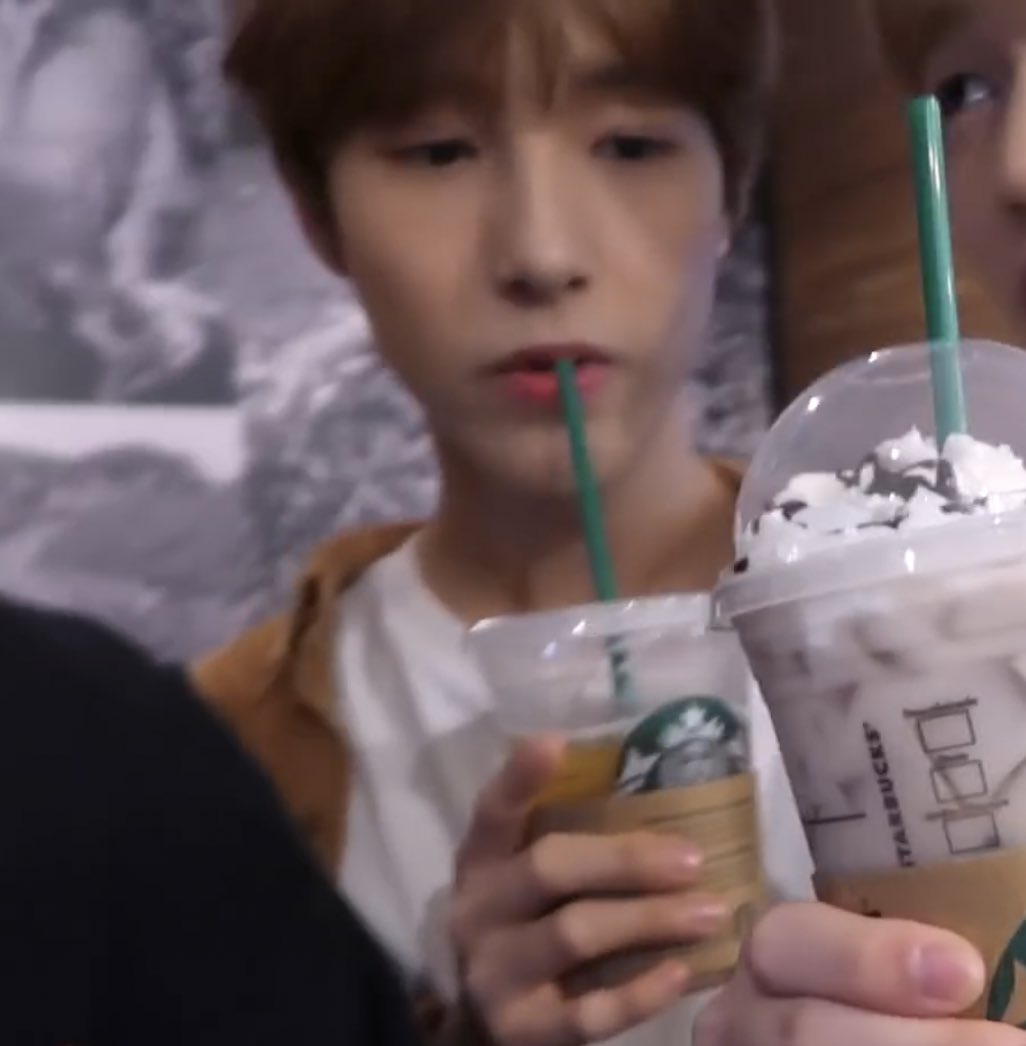 kitten and his starbucks cattucino ✨