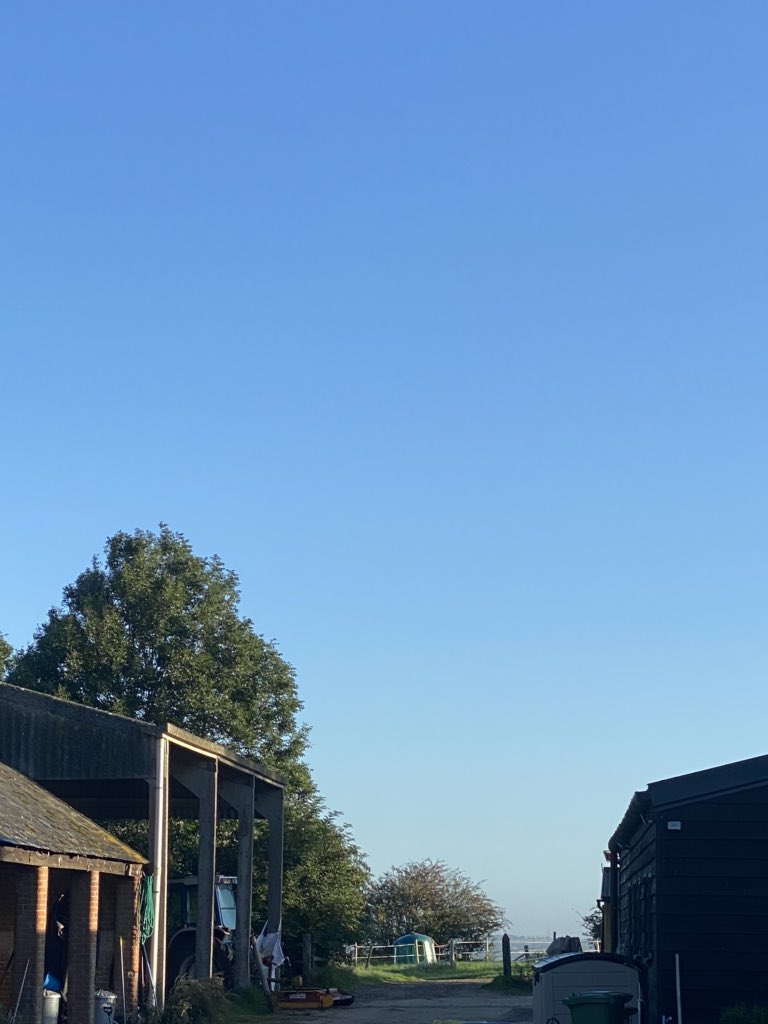 Ovingdexterbeef's tweet photo. It’s a beautiful morning and we’re up early to get packed up for our first time back @valeharvest market in Haddenham this morning! We’ve got a full selection of fresh meat and we’re looking forward to seeing old customers and new! Come along to the village hall 9am-1pm today! https://t.co/lWCnrcJnjU