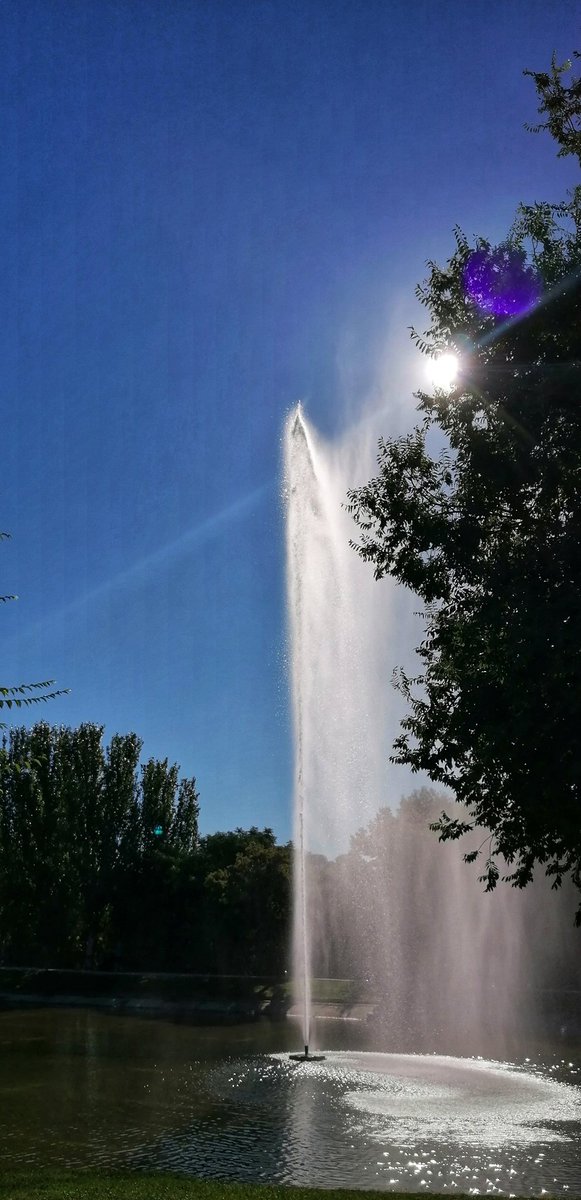 KatySnchez's tweet image. Feliz sabado y buen descanso #FelizSabado  #BuenosDias #geiser #descanso #fotografia #ParqueTiernoGalván