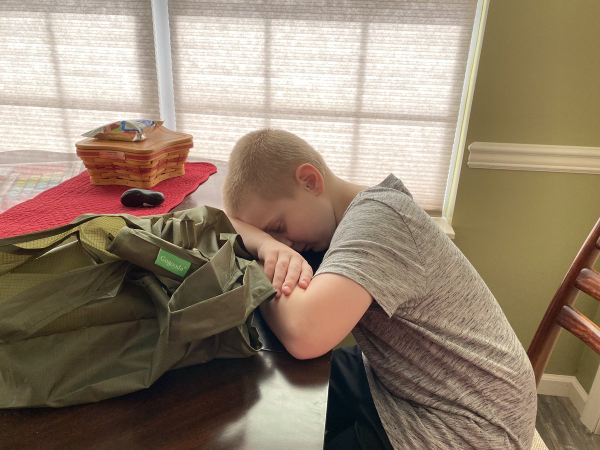 EmilyAssmus's tweet photo. Carter had mixed feelings about summer ending. 😂 But he had a great virtual “meet the teacher” video chat this afternoon ahead of virtual learning starting Tuesday and I know he’s excited for another year with the @paeseagulls! #4thGrade @PatrickAssmus #VBCPS https://t.co/Dm2MblmERX