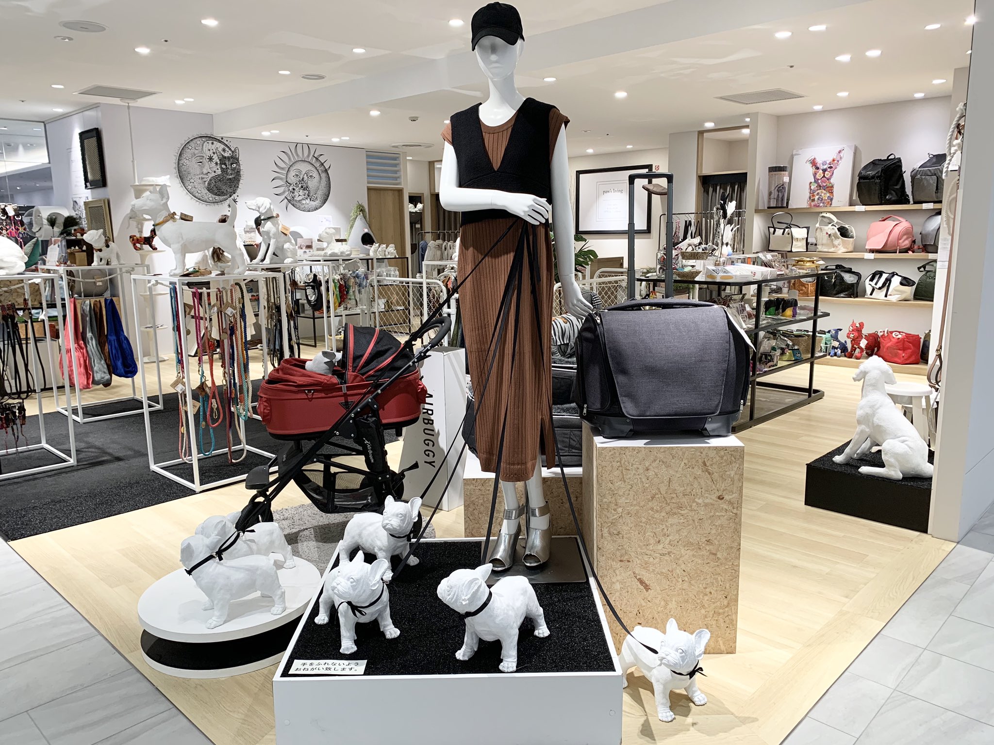 仙台parco 仙台パルコ パルコ2 3f パウズリビング 9 5 土 リニューアルオープン致しました 以前よりも広くなった店内にてみなさまのご来店をお待ちしております 仙台パルコ パルコ2 パウズリビング ペットアイテム ペットのいる