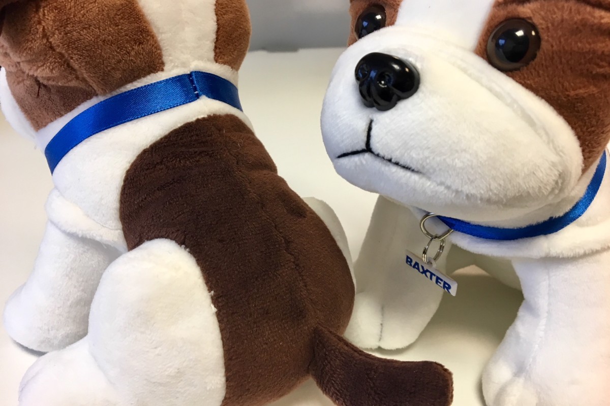 baxiboilers's tweet photo. There a still Baxter puppies in the Baxi Works rewards catalogue waiting to be rehomed - 165 points worth of pure puppy love 🐶! 
Go on!
https://t.co/tjAiE2qWc4 https://t.co/HCGdwkOjwk