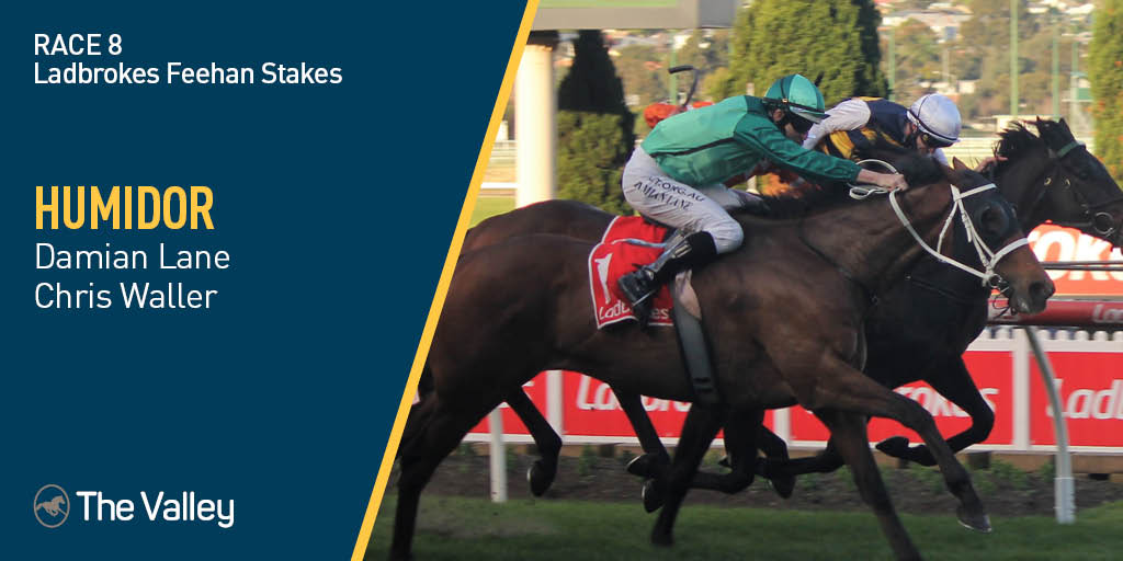TheValley's tweet photo. Turning back the clock! HUMIDOR books his place into the @CoxPlate in a thrilling finish to the Ladbrokes Feehan Stakes #LoveTheValley https://t.co/S9jQIt0n8b