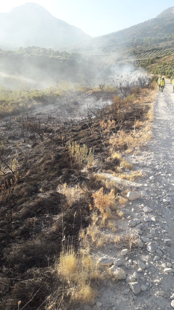 Plan_INFOCA's tweet photo. 🔴 DECLARADO #IFTorres, #Jaén. Intervenimos también desde primera hora de la mañana con 9 #BomberosForestales, 1 autobomba y 1 #AAMM https://t.co/mF38QOx601