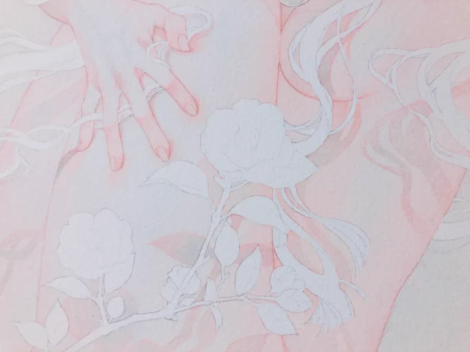 soft… 
