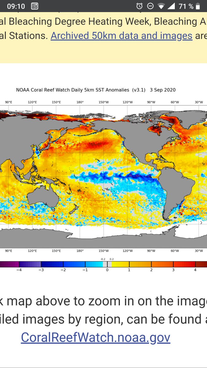 Tor E Aslesen tweet media